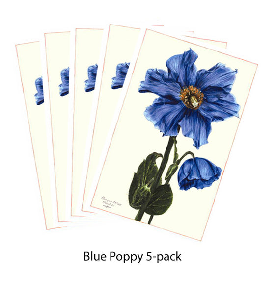Note Card - Blue Poppy 5-pack