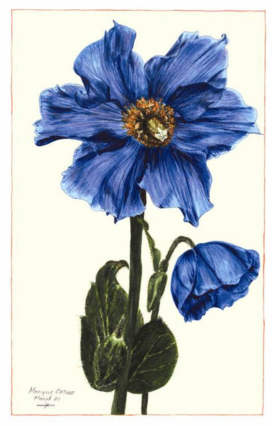 Note Card - Blue Poppy