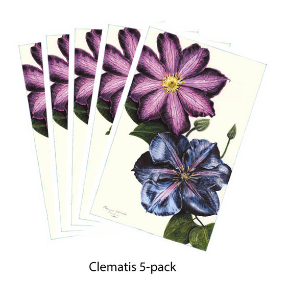 Note Card - Clematis 5-pack