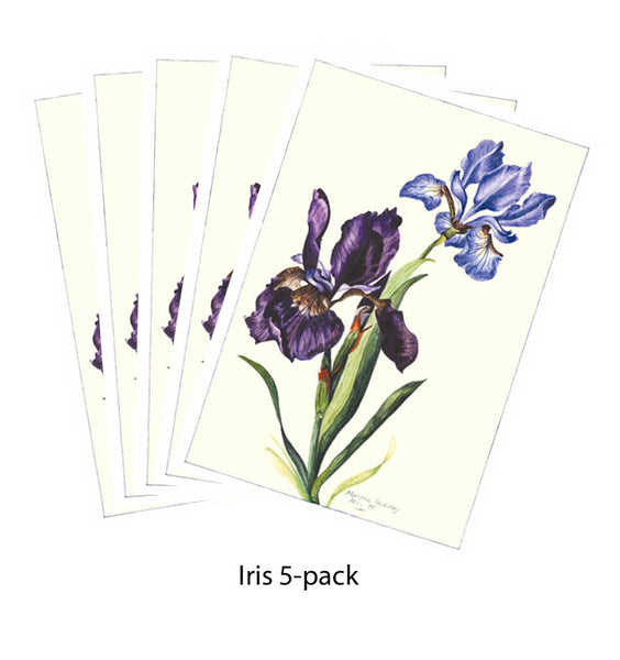 Note Card - Iris 5-pack