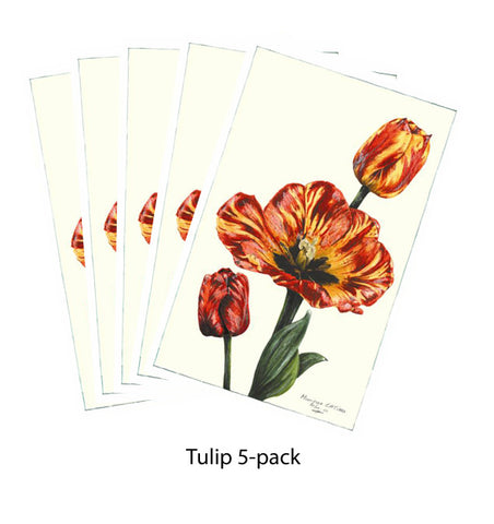 Note Card - Tulip 5-pack