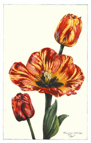 Note Card - Tulip